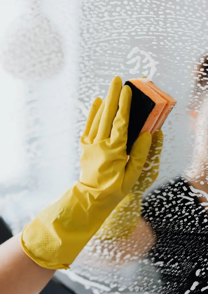 reinigungsfirma wien